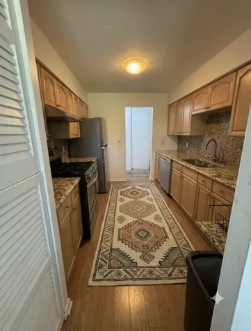 1132 East Randville Drive Palatine IL 60074