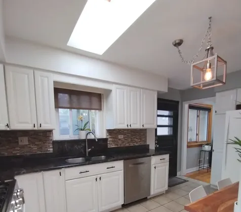 1520 Oakton Street Park Ridge IL 60068