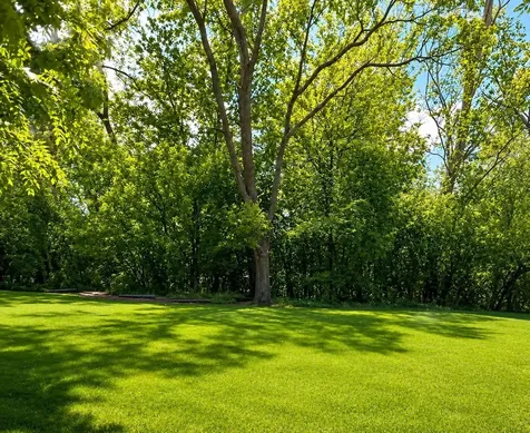 614 Kakos Court Zion IL 60099