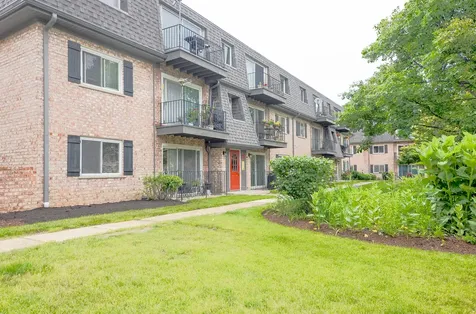 916 South Plum Grove Road Palatine IL 60067