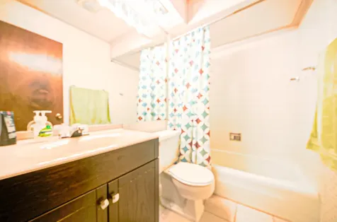 916 South Plum Grove Road Palatine IL 60067