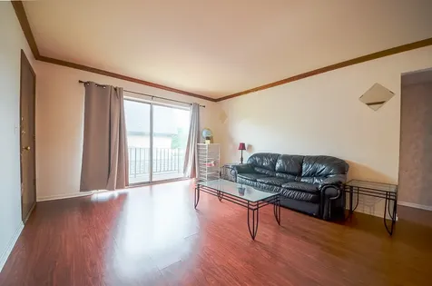 916 South Plum Grove Road Palatine IL 60067