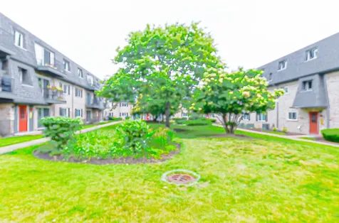 916 South Plum Grove Road Palatine IL 60067