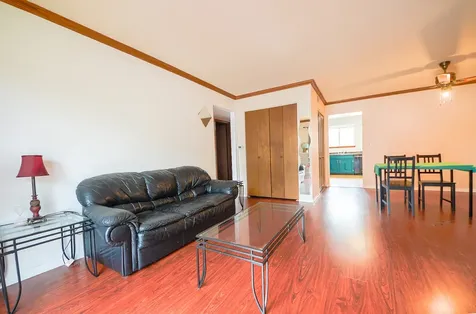 916 South Plum Grove Road Palatine IL 60067