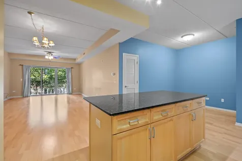 819 Graceland Avenue Des Plaines IL 60016