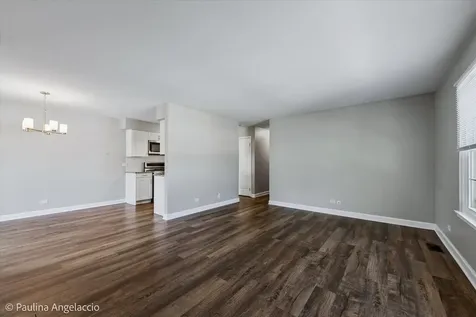 111 Lindenwood Court Vernon Hills IL 60061