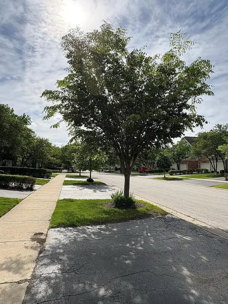 1241 Tennyson Lane Naperville IL 60540