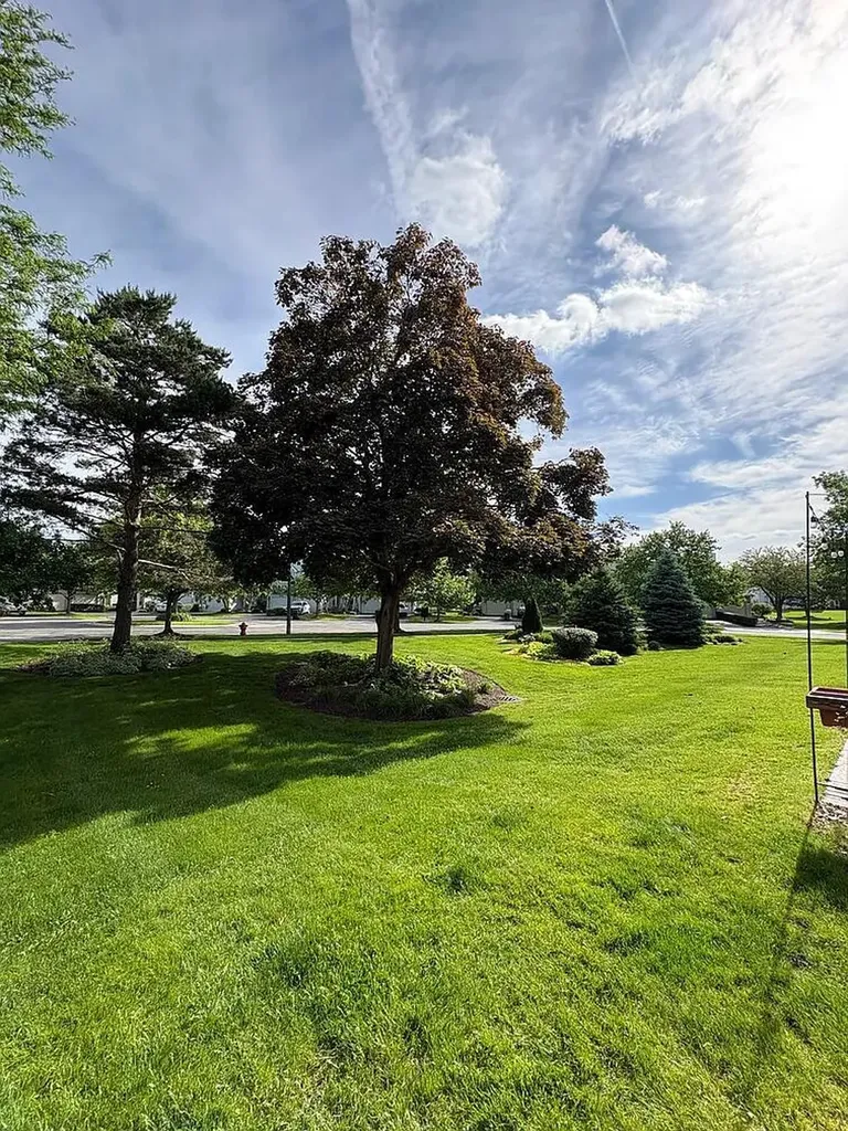 1241 Tennyson Lane Naperville IL 60540