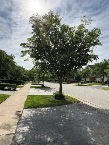 1241 Tennyson Lane Naperville IL 60540