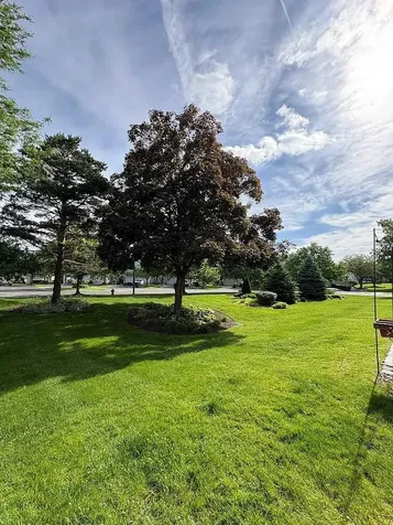 1241 Tennyson Lane Naperville IL 60540