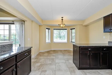 14130 Sheffield Drive Homer Glen IL 60491