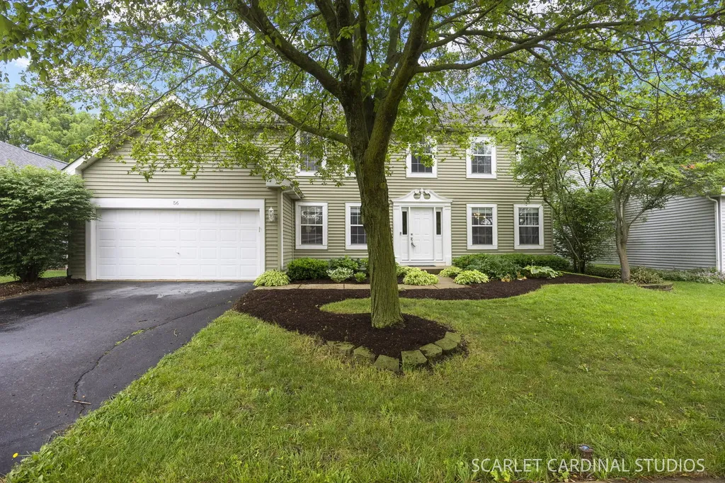 56 Forestview Lane Aurora IL 60502