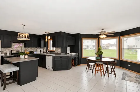 319 Mallards Cove Beecher IL 60401
