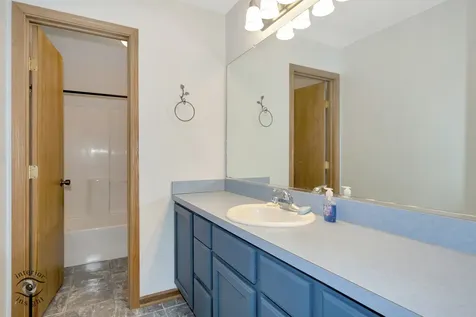 319 Mallards Cove Beecher IL 60401