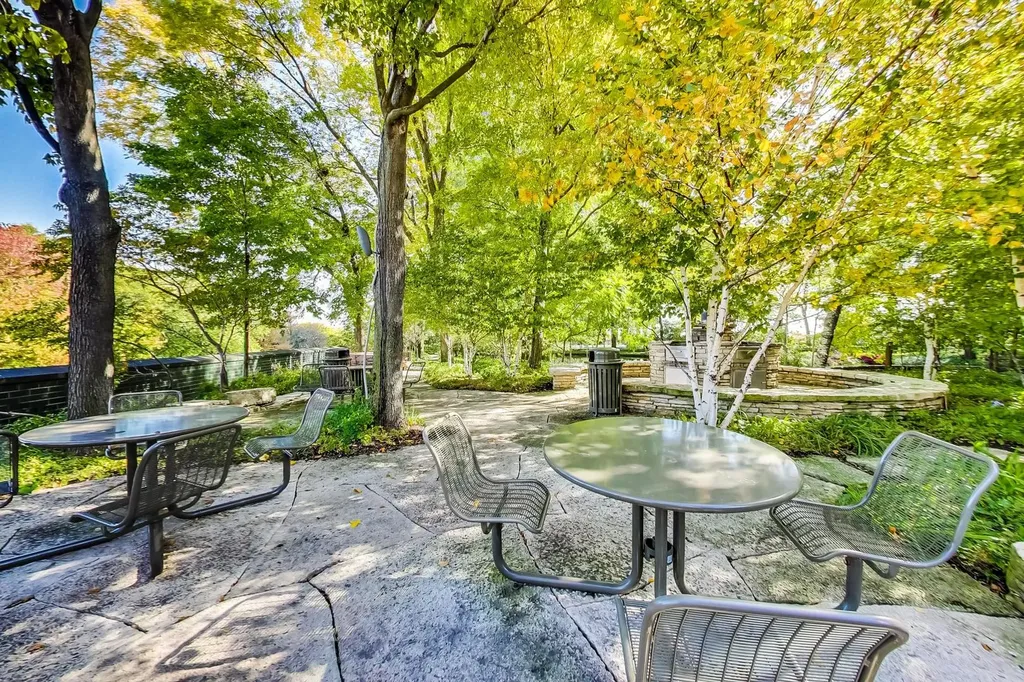 505 North Lake Shore Drive Chicago IL 60611