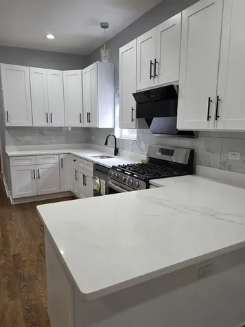 3128 South Parnell Avenue Chicago IL 60616