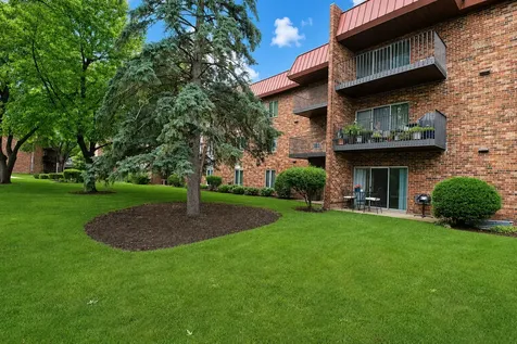 1041 West Ogden Avenue Naperville IL 60563