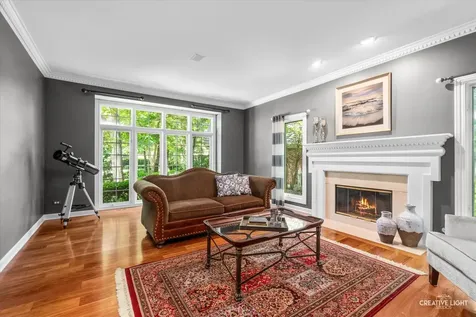 1585 Woodcrest Court Aurora IL 60502