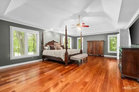 1585 Woodcrest Court Aurora IL 60502