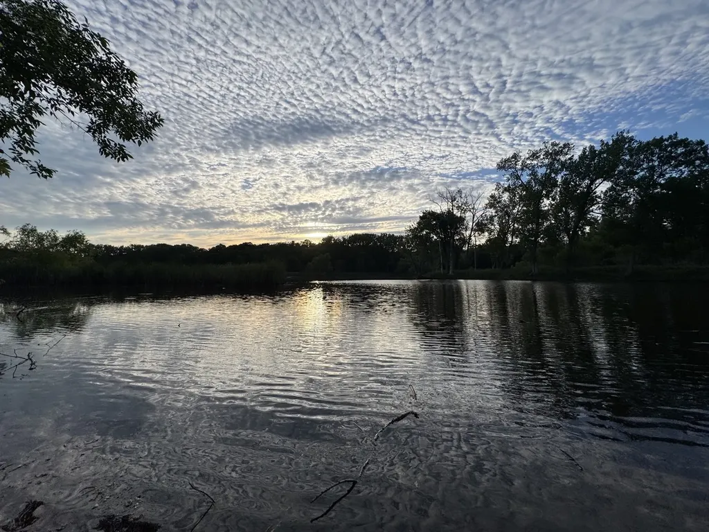 207 Lions Court Lake Zurich IL 60047