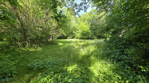 Lot 13 S Egyptian Trail Monee IL 60449