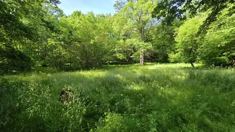 Lot 13 S Egyptian Trail Monee IL 60449