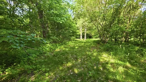 Lot 13 S Egyptian Trail Monee IL 60449