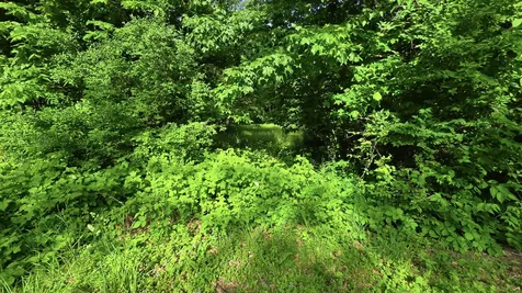 Lot 13 S Egyptian Trail Monee IL 60449