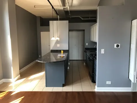 633 South Plymouth Court Chicago IL 60605