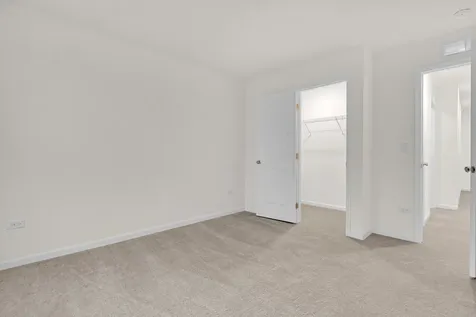 5913 Hawkweed Drive Naperville IL 60564