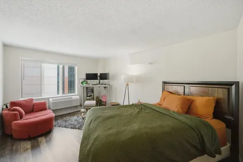 801 South Plymouth Court Chicago IL 60605