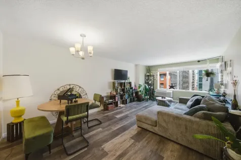 801 South Plymouth Court Chicago IL 60605