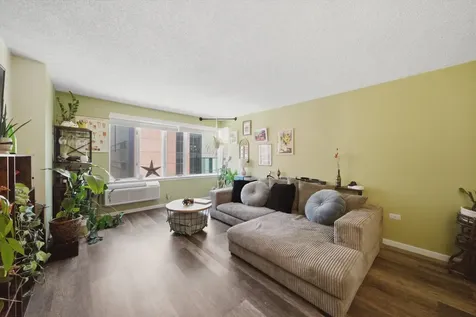 801 South Plymouth Court Chicago IL 60605