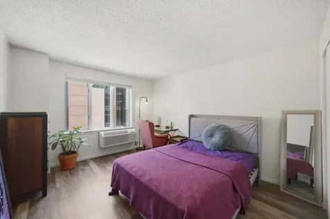 801 South Plymouth Court Chicago IL 60605