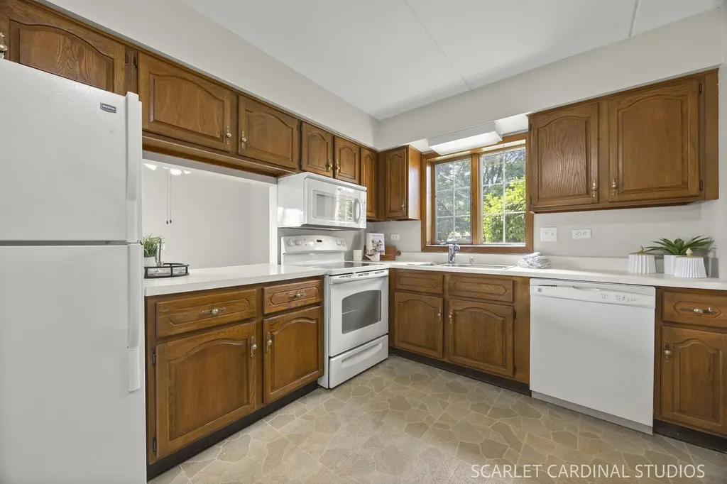 6223 Lake Park Lane Willowbrook IL 60527