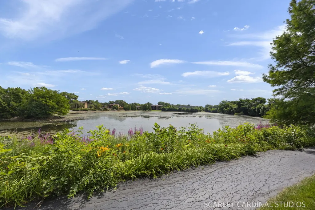 6223 Lake Park Lane Willowbrook IL 60527