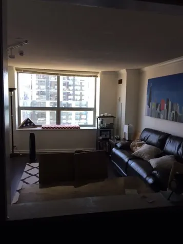 474 North Lake Shore Drive Chicago IL 60611
