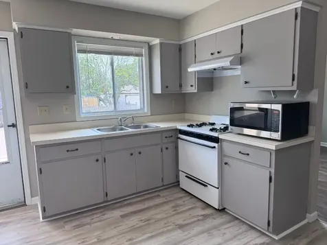 1353 Lakeview Avenue Rockdale IL 60436