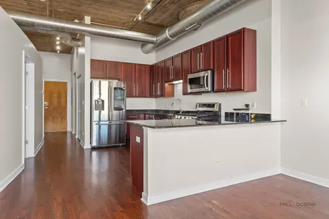1151 West 14th Place Chicago IL 60608