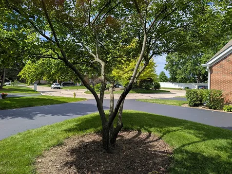 1541 North Kendal Court Arlington Heights IL 60004