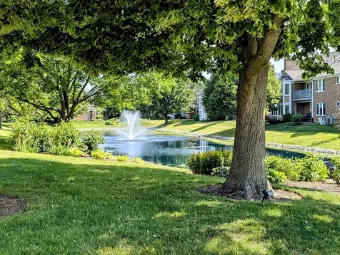 1541 North Kendal Court Arlington Heights IL 60004