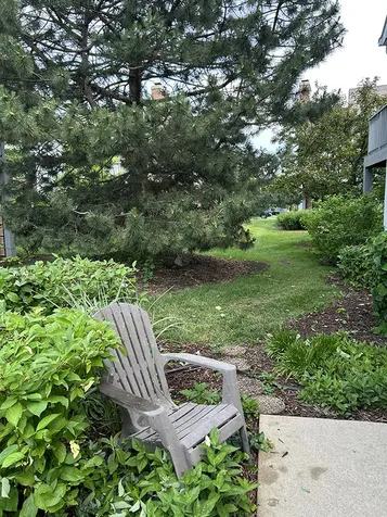 1541 North Kendal Court Arlington Heights IL 60004