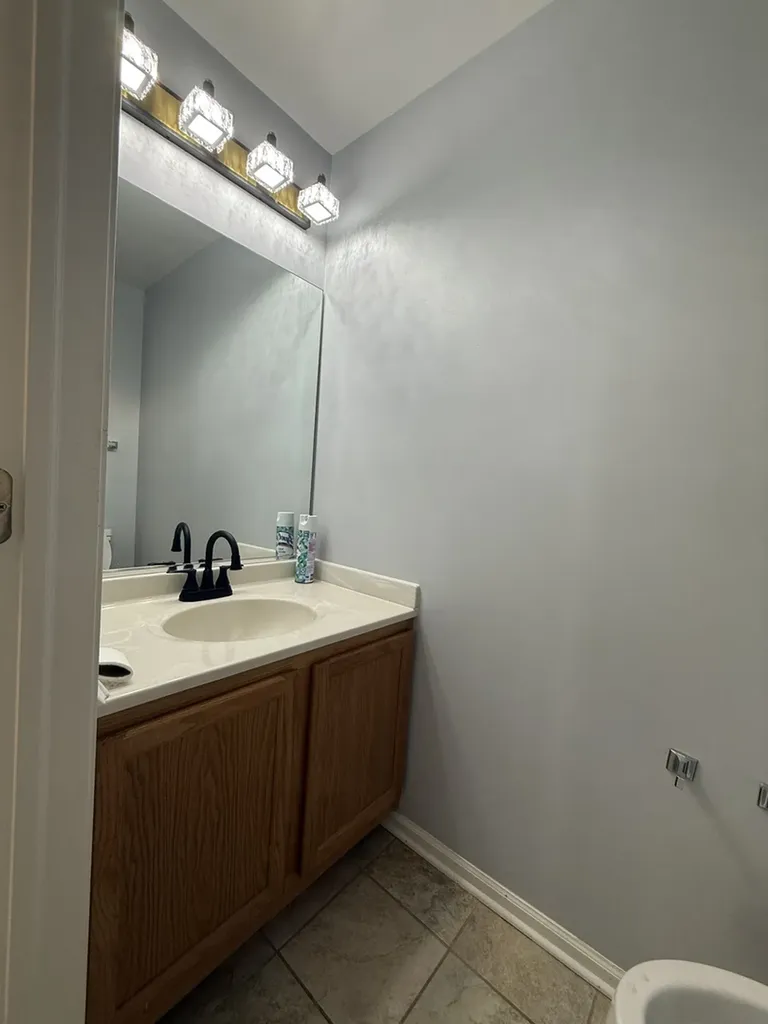 216 Ironbark Way Bolingbrook IL 60440