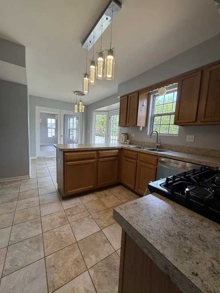 216 Ironbark Way Bolingbrook IL 60440