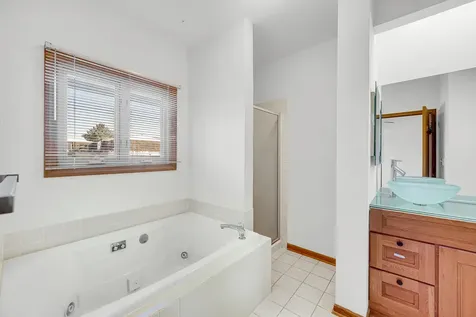 1017 Arbor Court Mount Prospect IL 60056