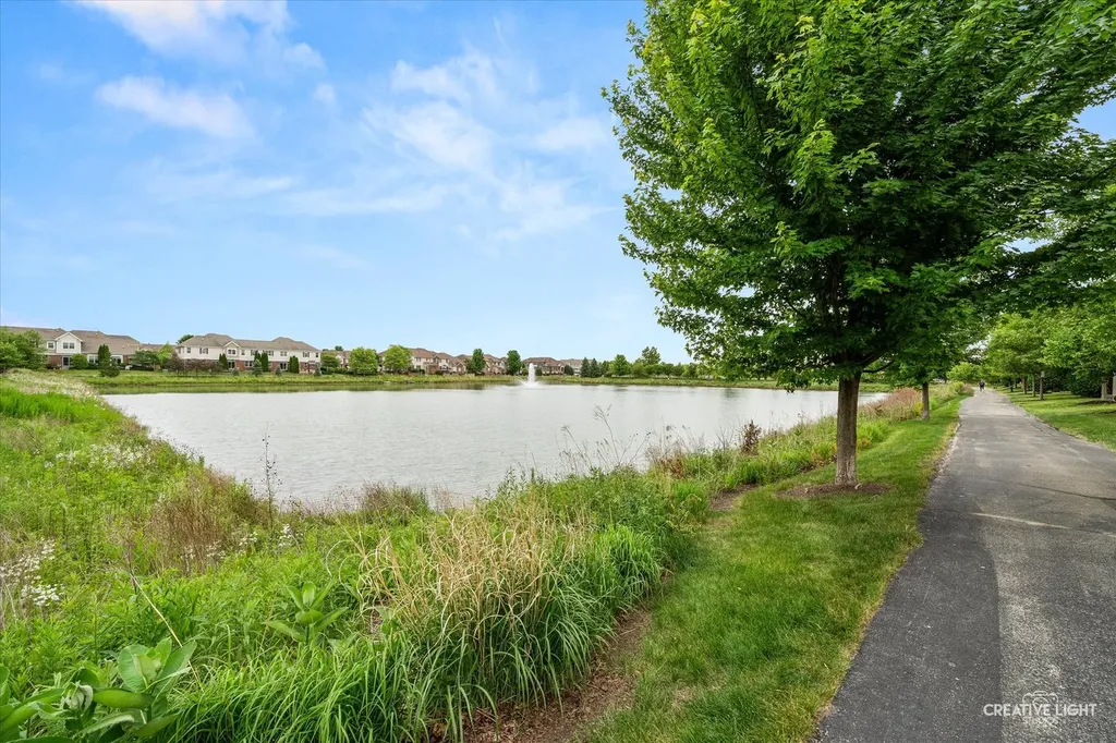 2951 Henley Lane Naperville IL 60540