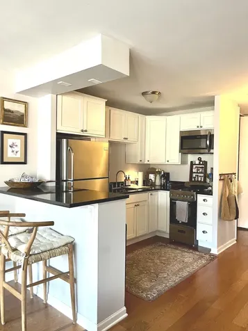 1 East Scott Street Chicago IL 60610