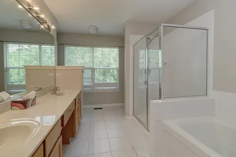 154 River Mist Drive Oswego IL 60543