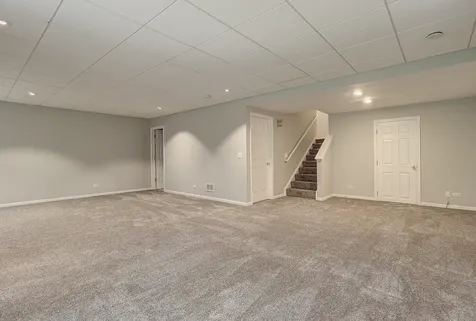 154 River Mist Drive Oswego IL 60543