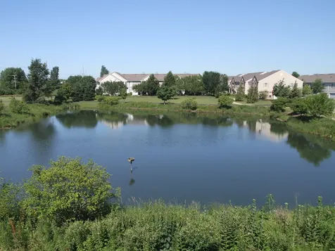 207 Springbrook Trail S Oswego IL 60543